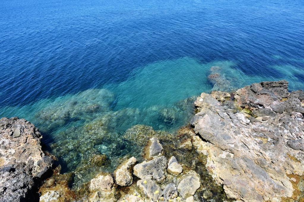 Villa Flora Argentario ปอร์โต ซานโต สเตฟาโน ภายนอก รูปภาพ