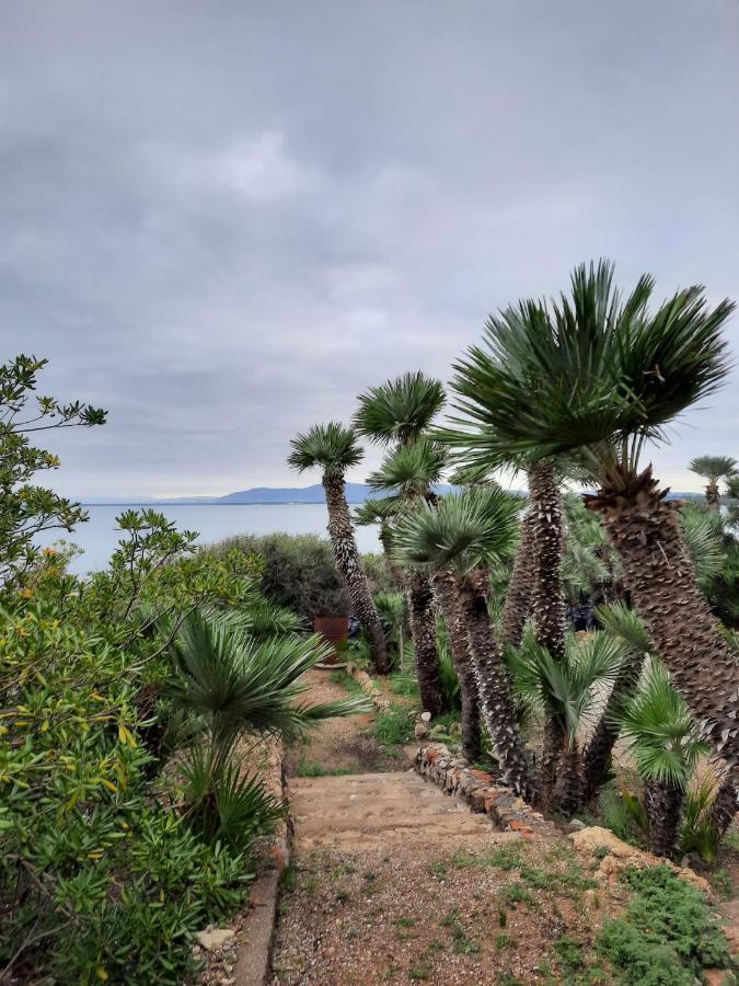 Villa Flora Argentario ปอร์โต ซานโต สเตฟาโน ภายนอก รูปภาพ