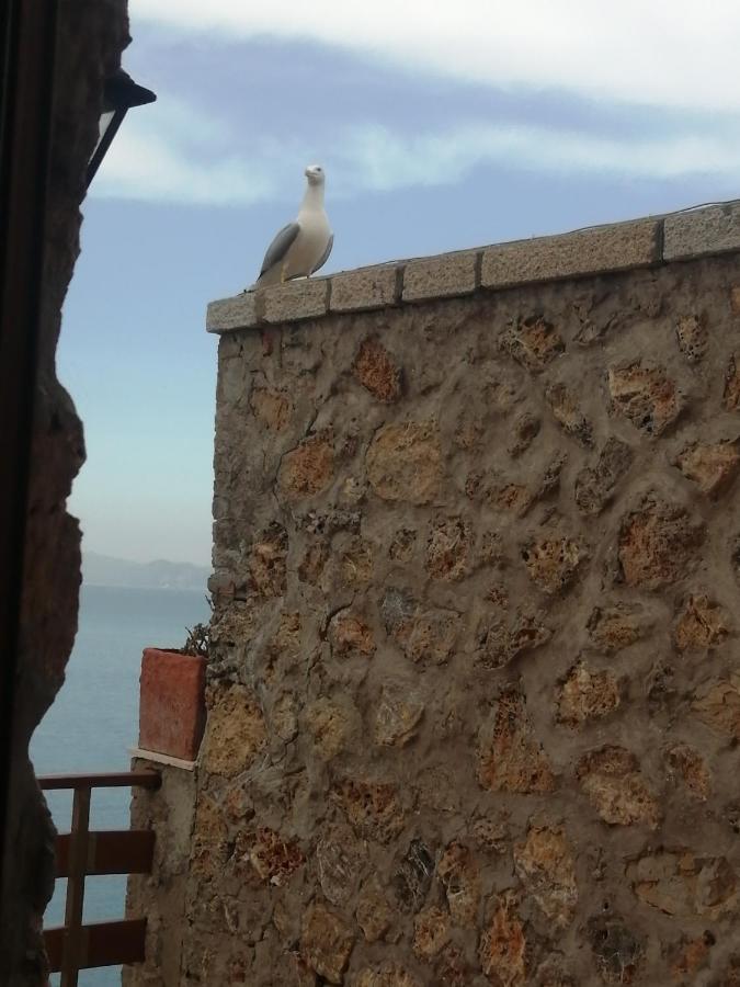 Villa Flora Argentario ปอร์โต ซานโต สเตฟาโน ภายนอก รูปภาพ